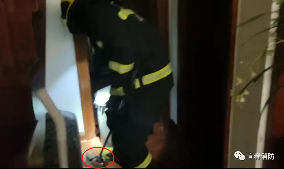 家周围频繁出现蛇是什么预兆,家附近老是有蛇怎样驱赶