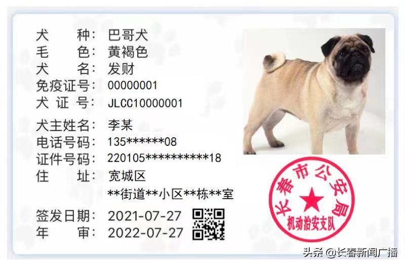 尽快办理！长春《养犬证》办理指南来啦