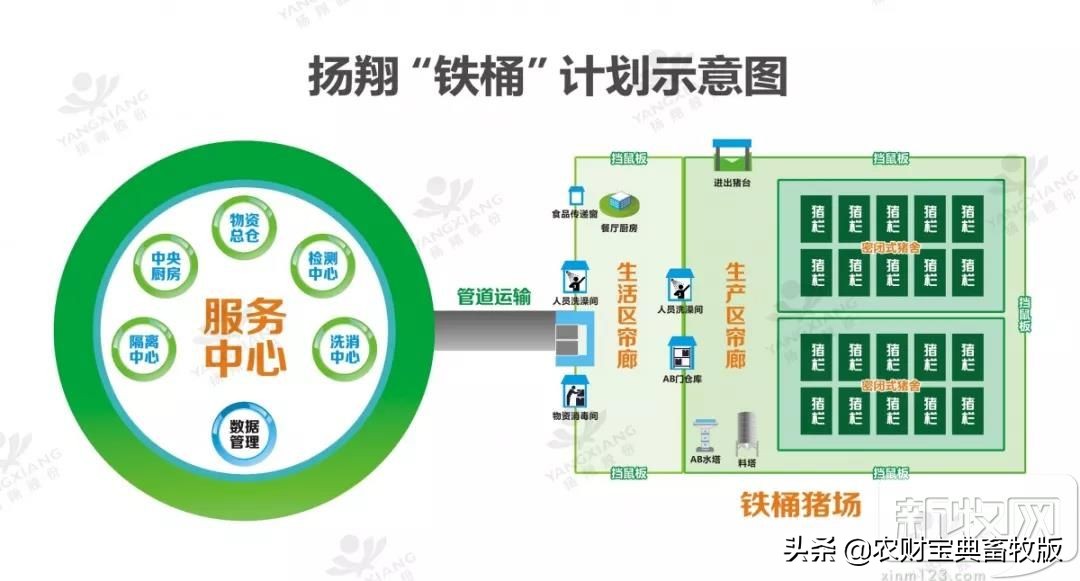 买猪肉看过来,猪场买猪全过程