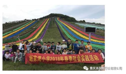 2022年重庆民办小学收费标准,家长最想了解学校的问题