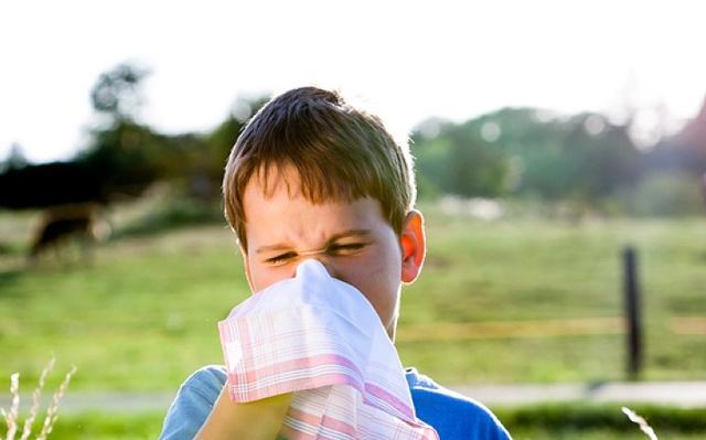 过敏宝宝为什么这么多,过敏体质的宝宝越来越多