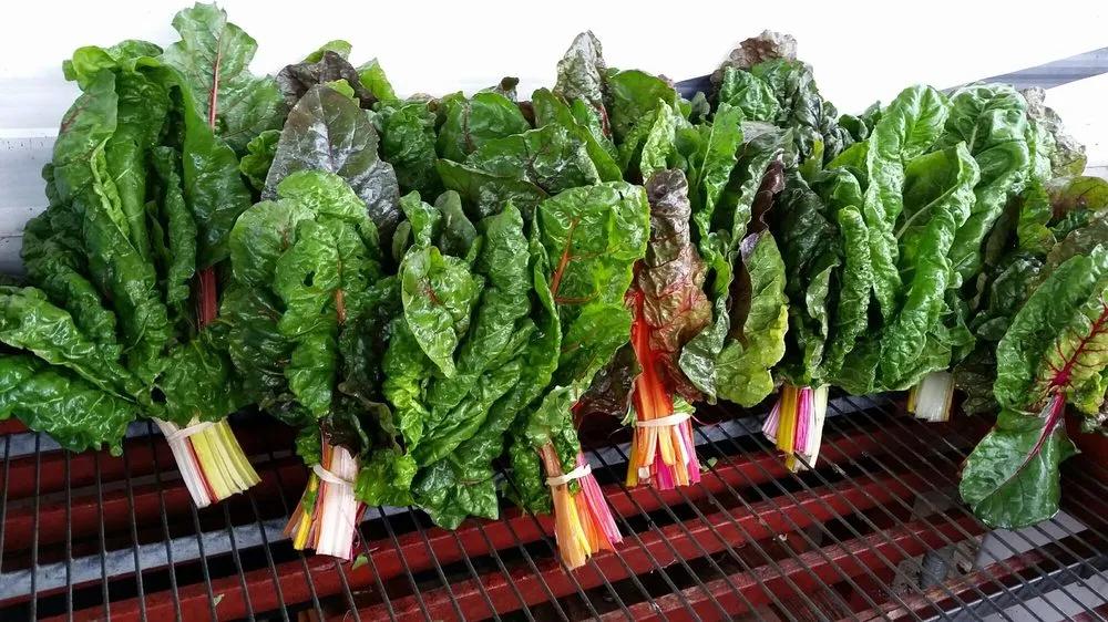 农庄餐饮怎么经营赚钱,怎么经营农家乐卖菜生意