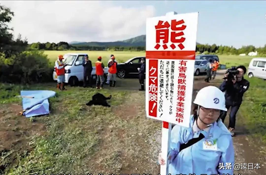 日本熊吃人事件地点,17年日本熊吃人事件