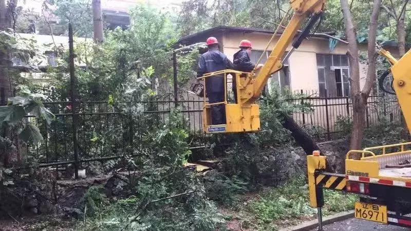 升级气象灾害预警,升级防护措施加强防御对策