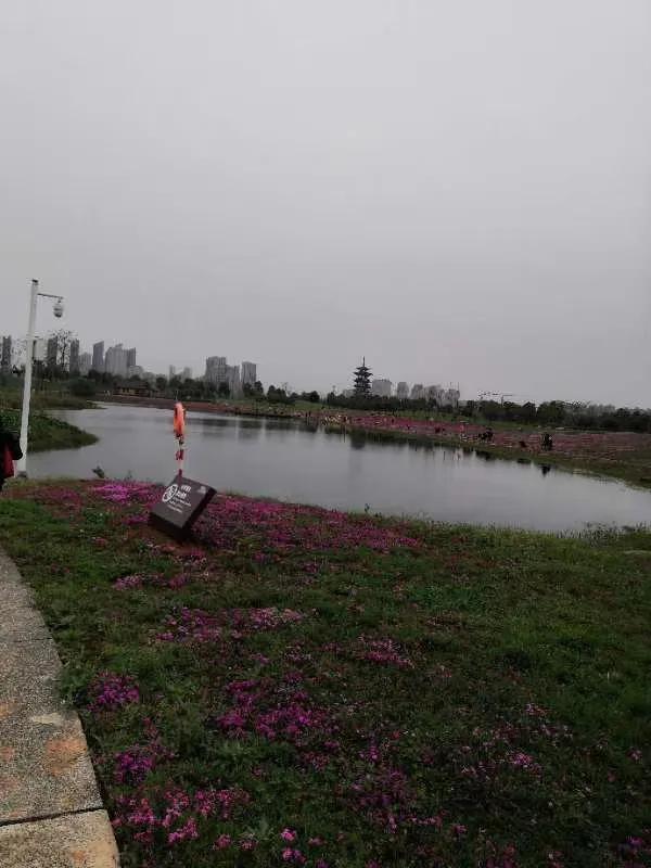 一定要带孩子去这几个城市走走,一生中一定要带孩子去的五个城市