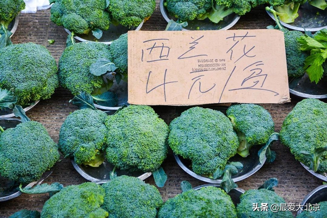 带你逛北京最大早市,北京正宗早市推荐