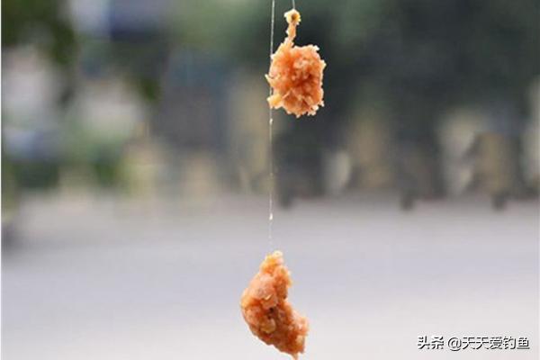 春季晴天钓鱼的技巧与方法,早春钓鱼技巧野钓鲫鱼