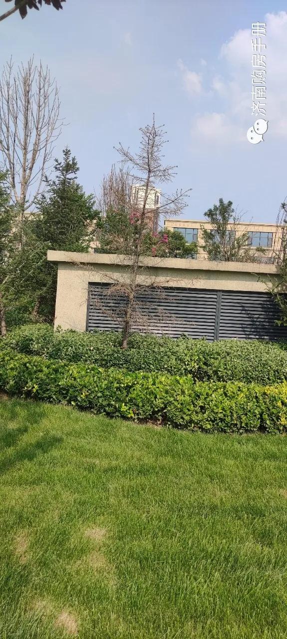 济南碧桂园凤凰城最新房价,济南碧桂园最新的情况