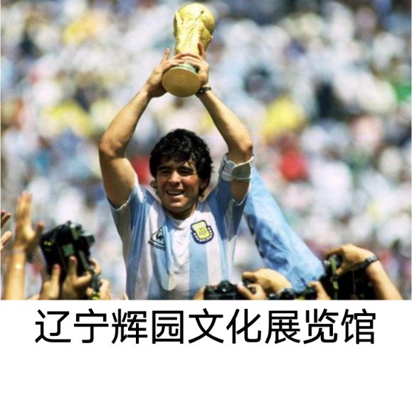 在刨花板隔断的房间里我认识了马拉多纳