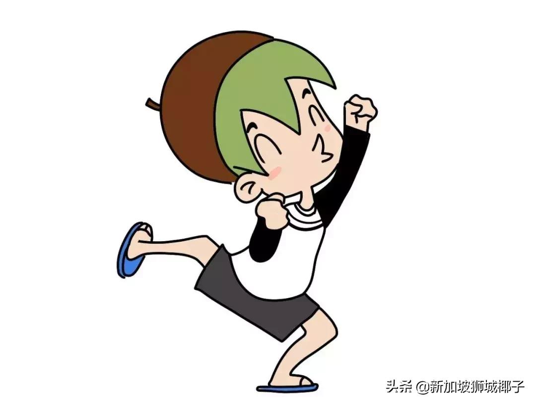 新加坡用什么软件买东西,新加坡便宜实惠的购物平台有哪些