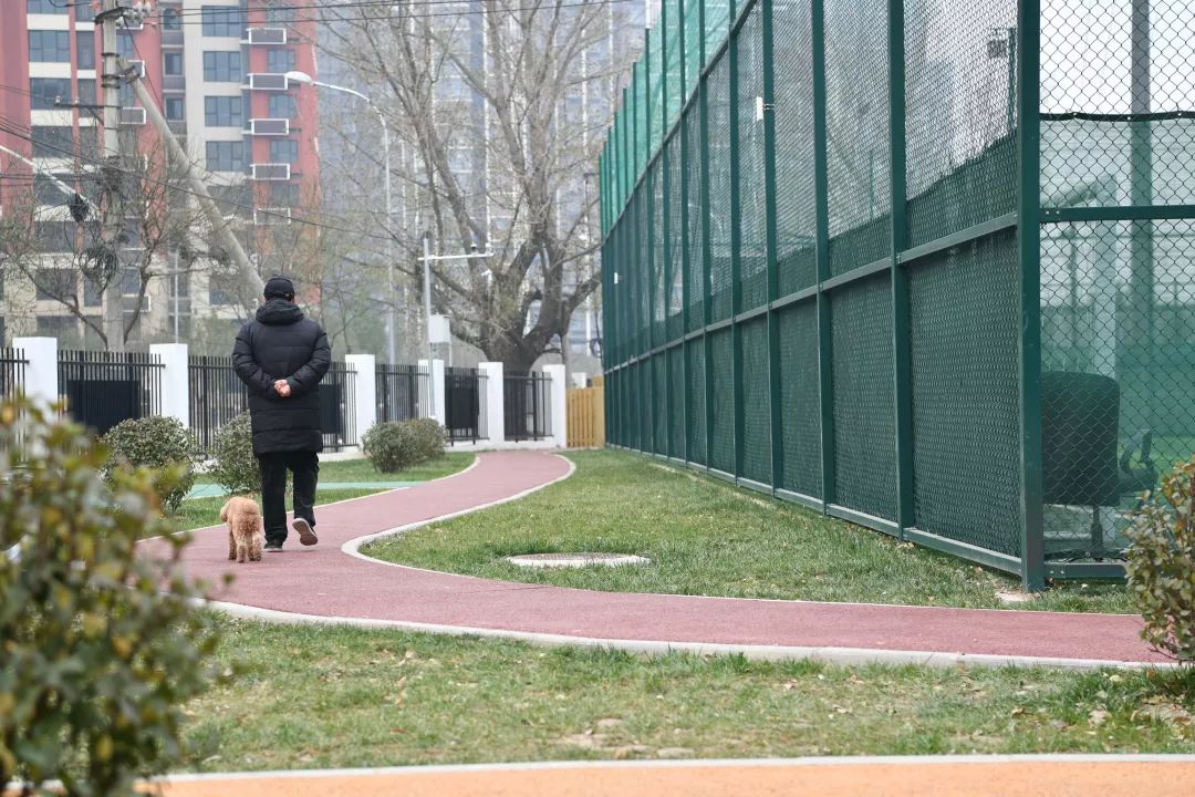 海淀区对外开放的体育场,北京海淀新开放的公园