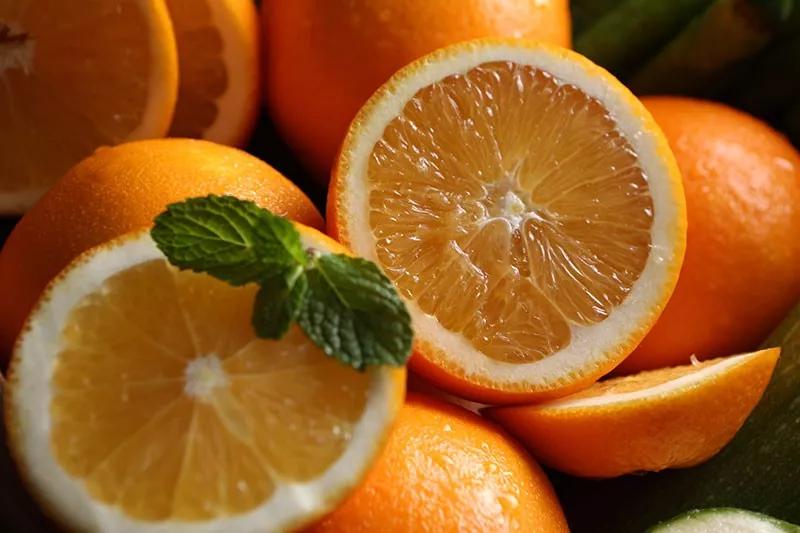 柑橘家族有哪些,柑橘家族砂糖橘