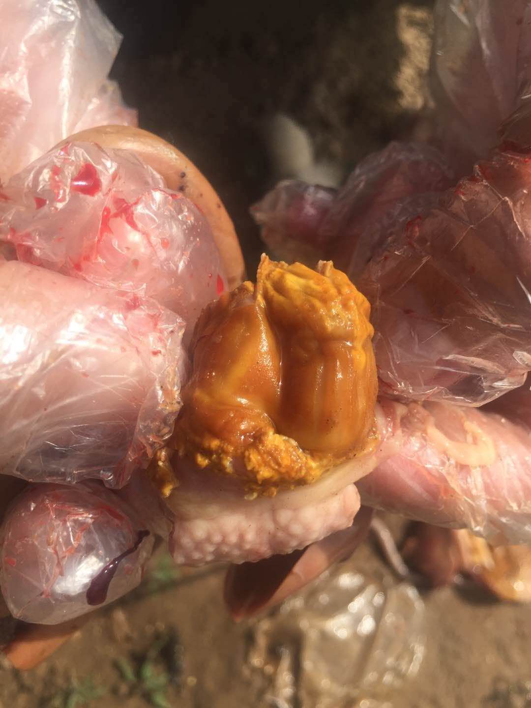 一线经验总结,一线经验是什么意思