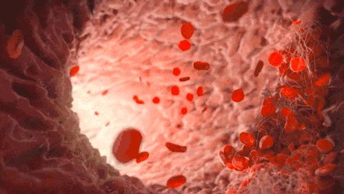 这场蒜味的持久战，是每一个嗜蒜如命的人不知道的事（菲李漫画）