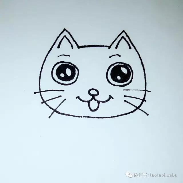 我是可爱小猫咪视频,我是一只可爱的小猫咪
