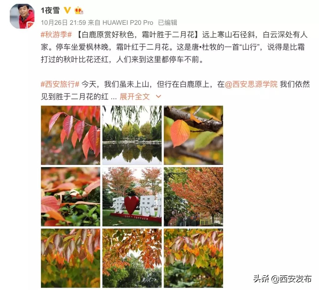 话题阅读量最多,话题阅读量破50