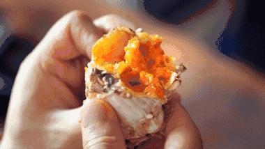 螃蟹死了多长时间就不能吃了,冰箱里冻死的螃蟹能吃吗