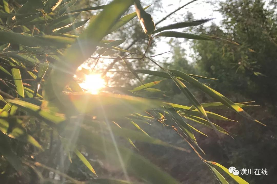 潢川双柳高山,潢川最高峰