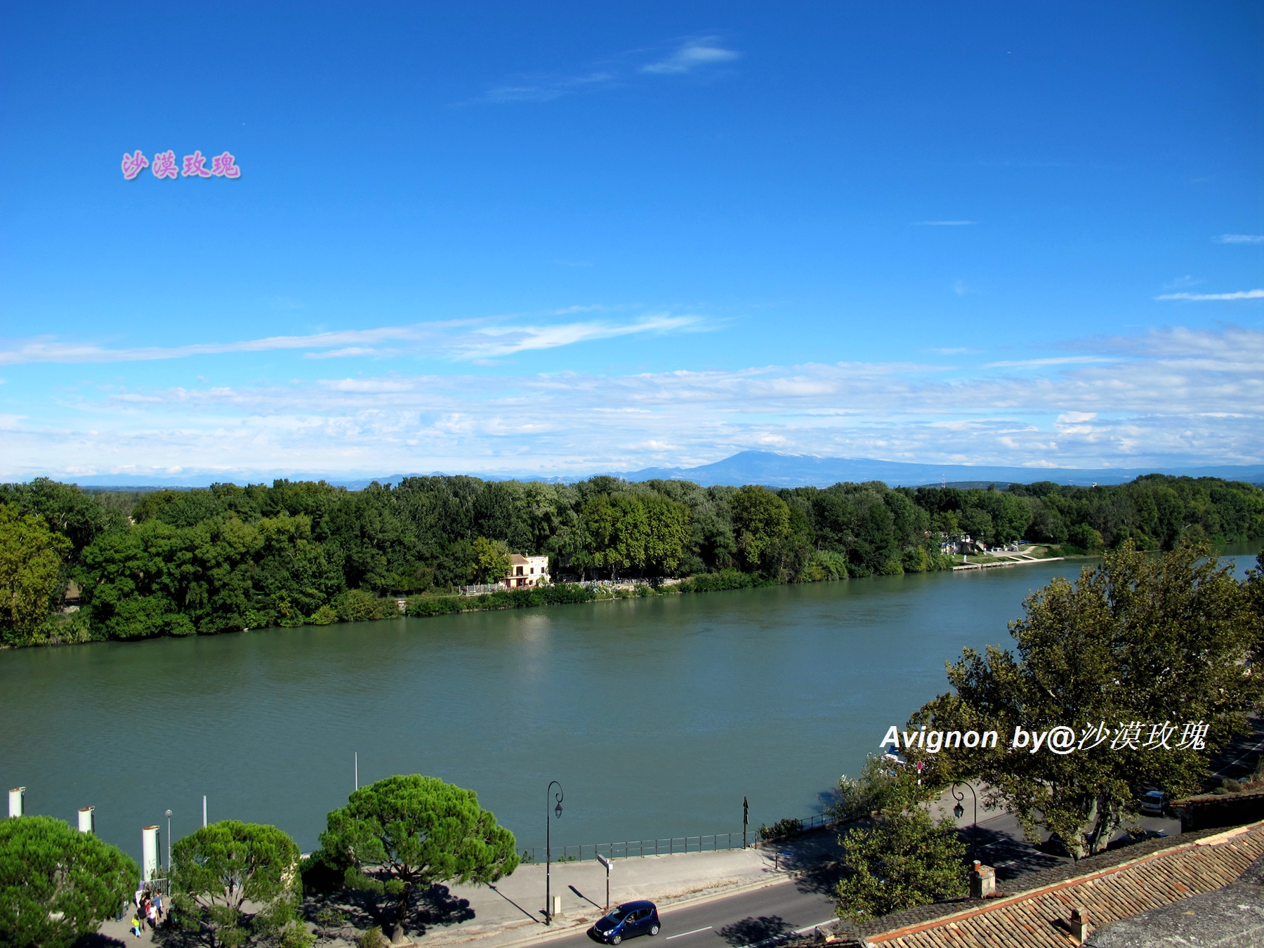 普罗旺斯有浪漫的薰衣草,普罗旺斯未开的熏衣草