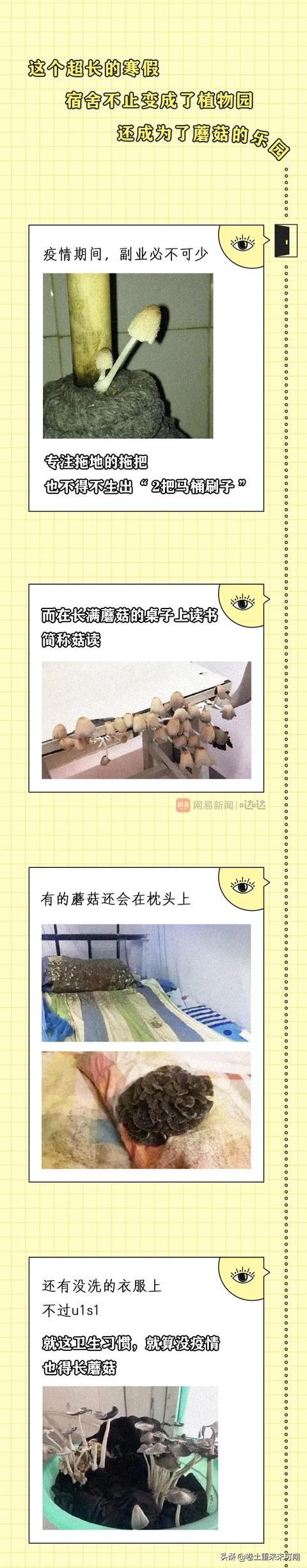 那些上学时最好看的漫画,开学前看的vs开学后看的漫画