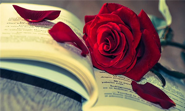 一方执意离婚一方不同意,一方起诉离婚一方无过错不同意