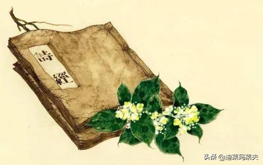 bbc评价杜甫诗词,ohmygodbbc杜甫纪录片中英双语