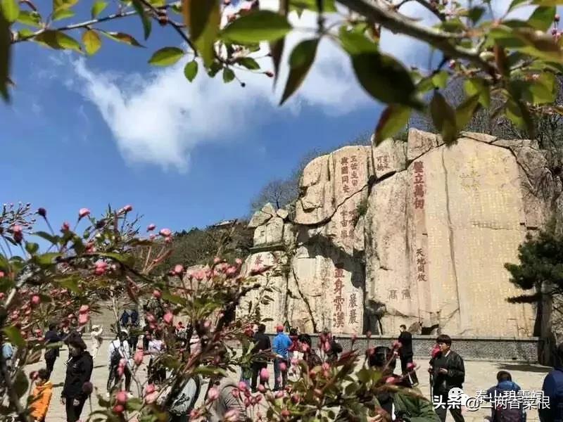 勿以身贵而贱别人,有一种修养叫从不炫耀