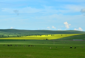 燕郊好还是北京市区好,燕郊的定位不是北京胜似北京