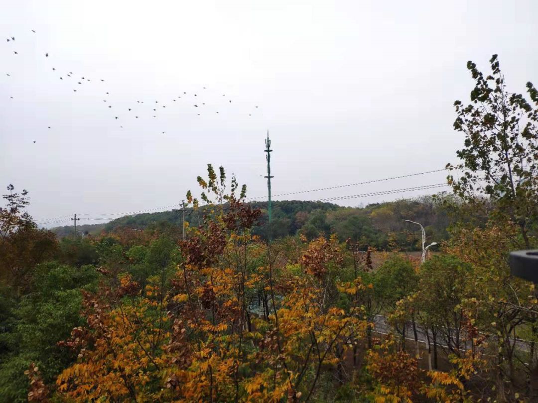 罗玉凤和范冰冰,范冰冰和罗玉凤谁好看