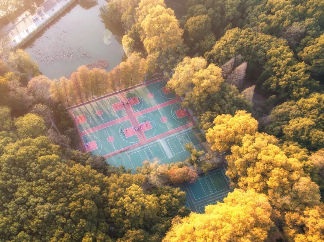 武汉开学震撼画面,夏季的武汉大学风景