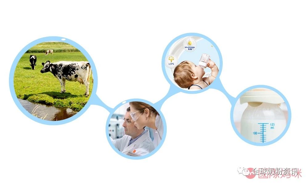 飞鹤的奶粉到底哪一款好,飞鹤奶粉和爱他美成分差距大吗