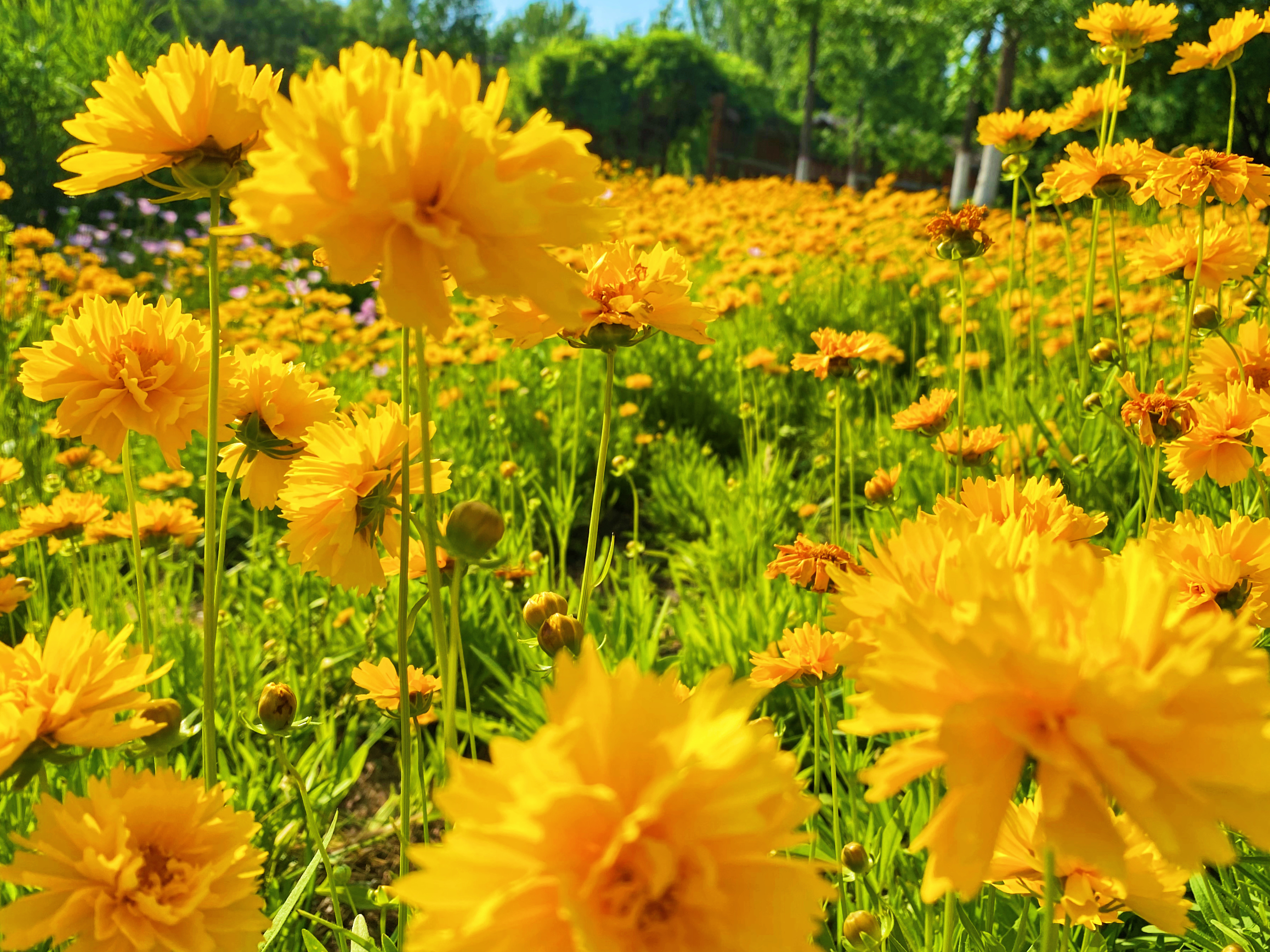 西安最新湿地公园,西安国家湿地公园