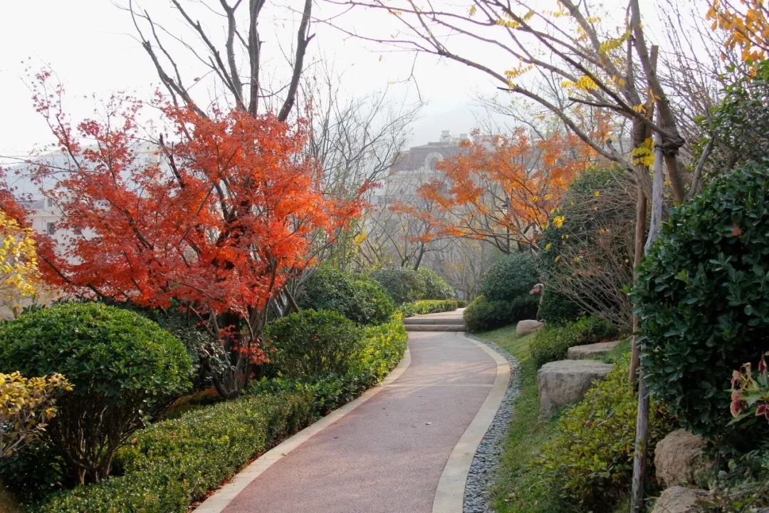 青岛波尔多小镇实景图,青岛海尔波尔多小镇别墅