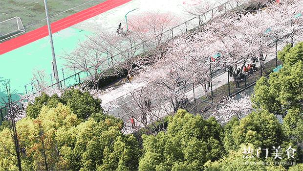 上海宋城免费景点,上海一日游攻略必去景点免费