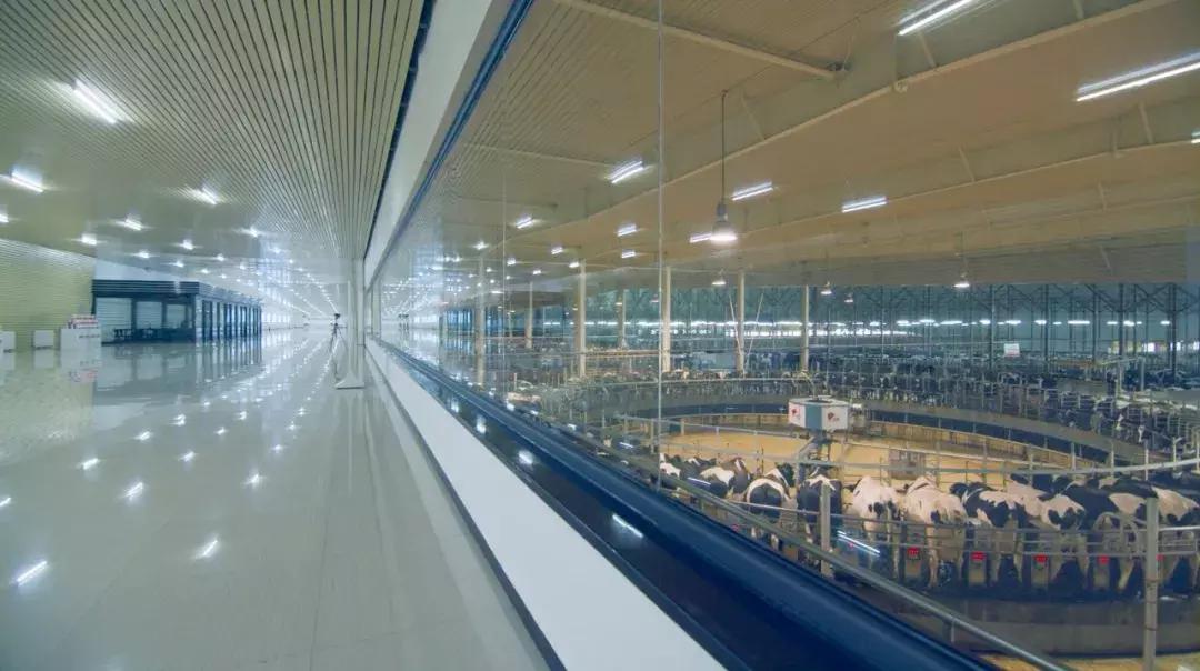 代购靠谱还是天猫靠谱,代购买东西靠谱吗