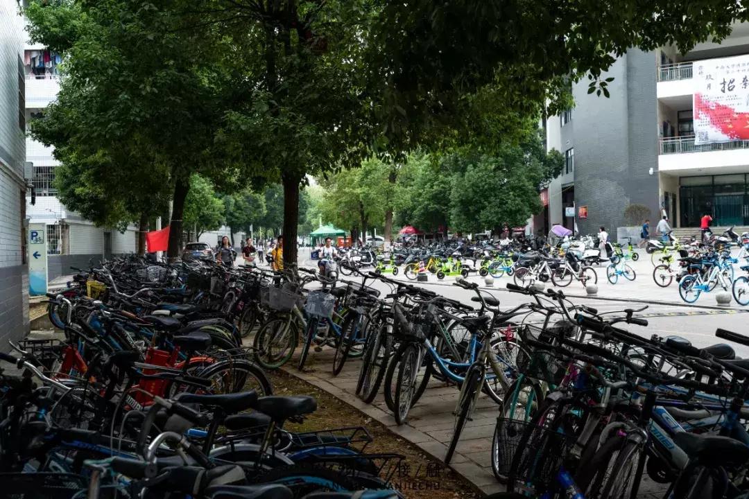 长沙最青春公交，串联6所大学的记忆