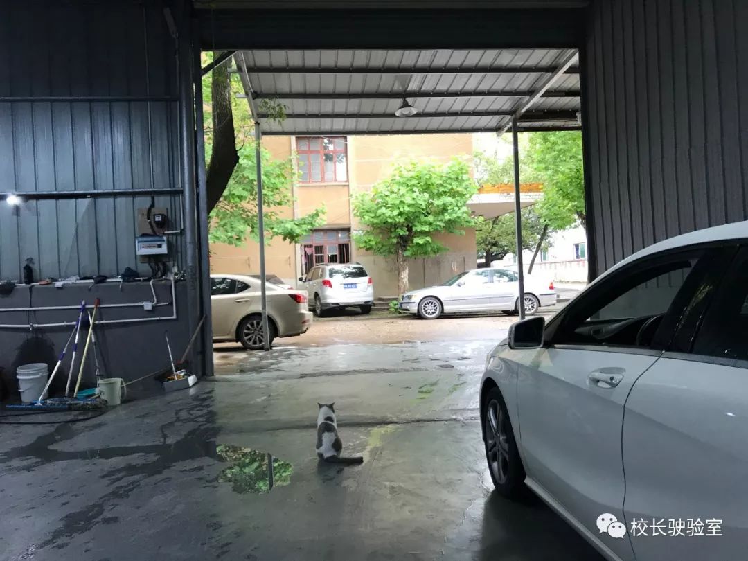 弯道之王马自达6试驾,弯道之王马自达6睿翼