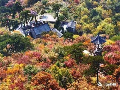 北京国家森林公园风景,画说北京故事