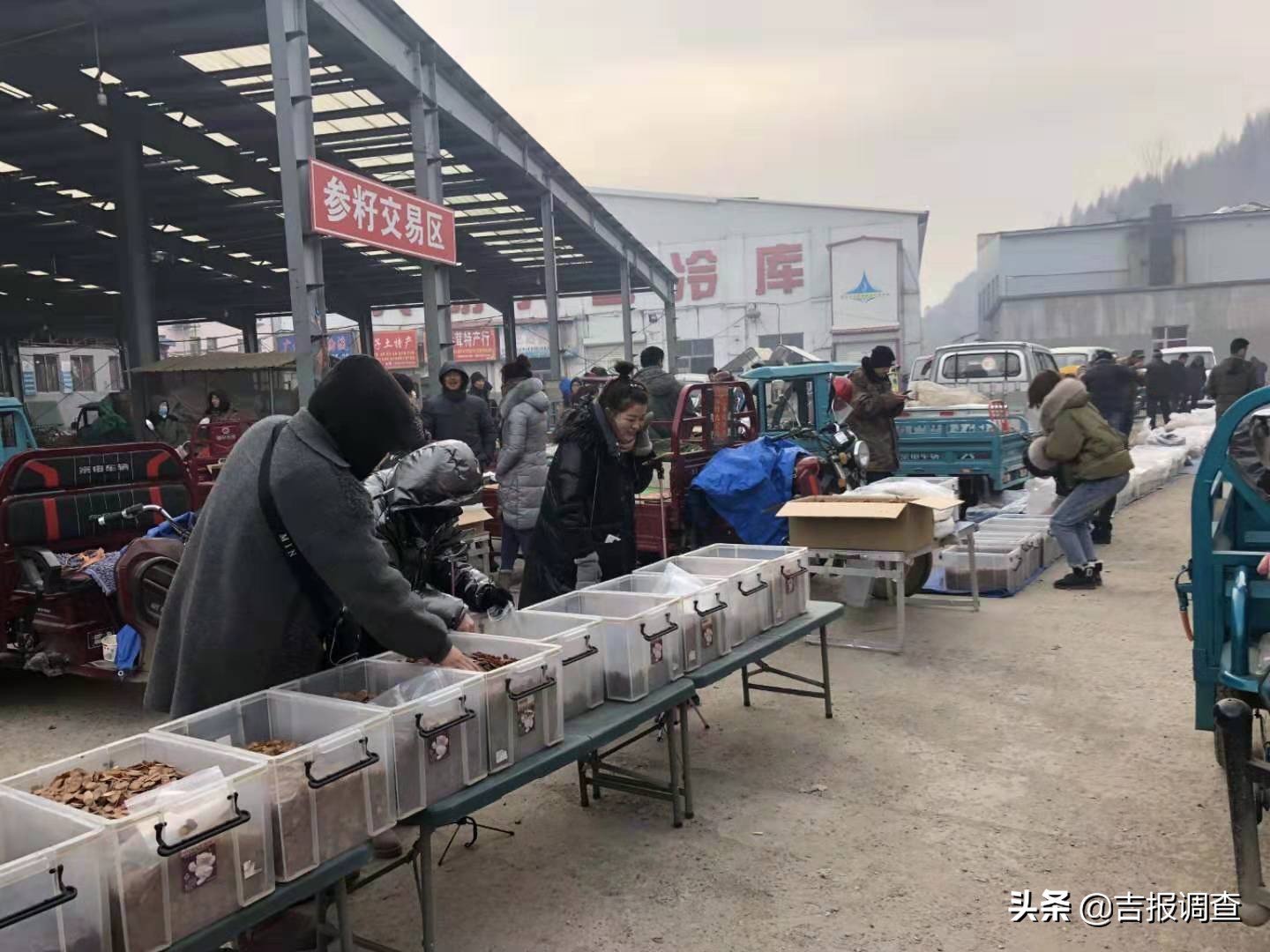 参茸土特产直播,长白山土特产参茸批发