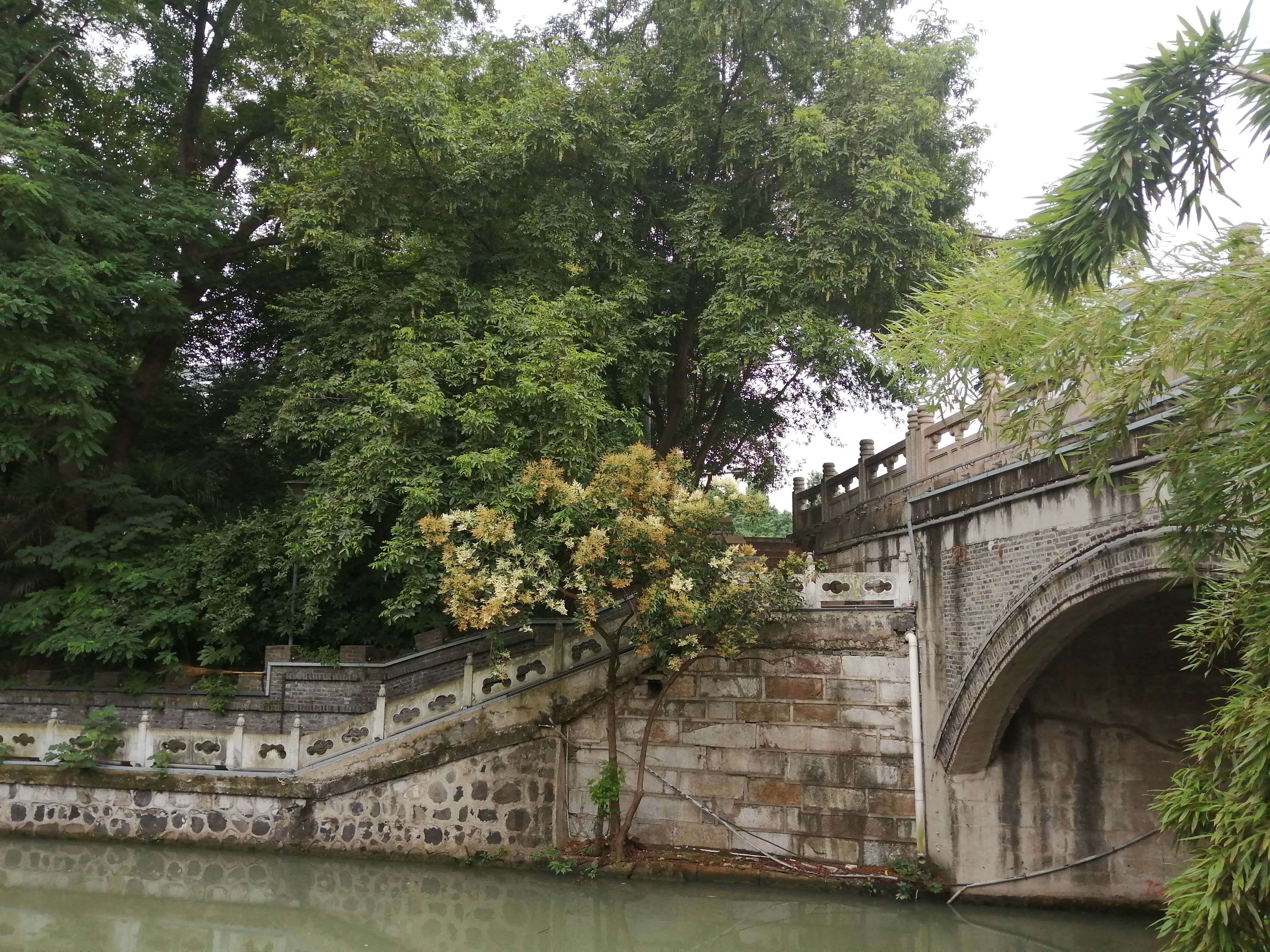 如何让市民“足不出户”,扬州在这件事上下足了功夫