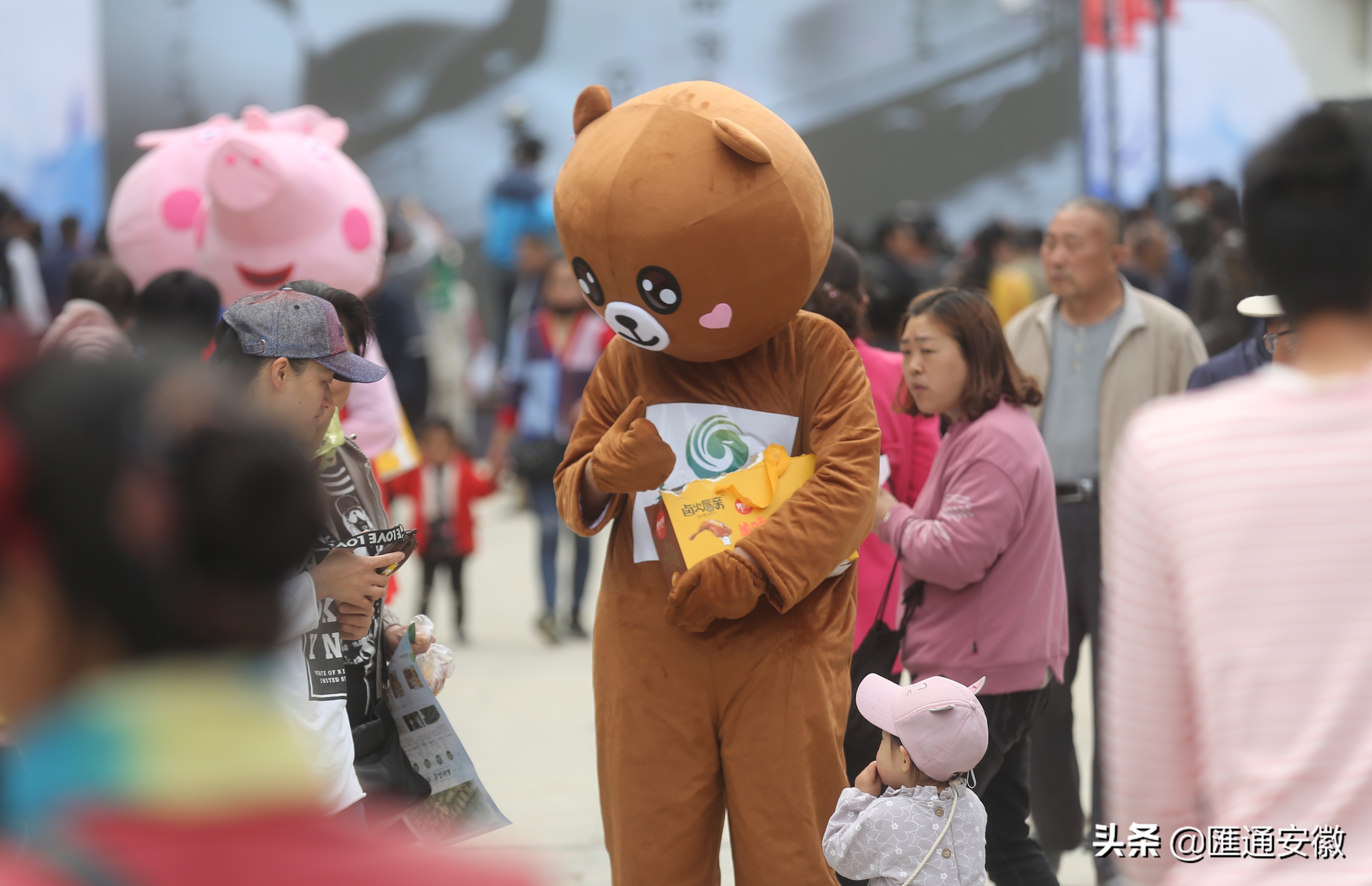淮北食品工业博览会云集,淮北食品博览会
