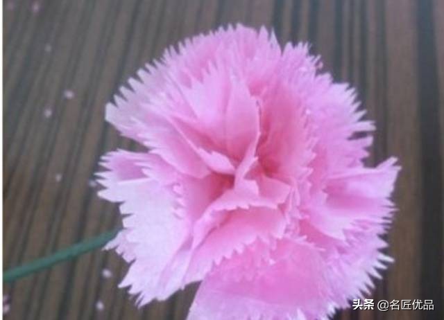 母亲节手工康乃馨简单又漂亮,母亲节适合给妈妈做的康乃馨手工