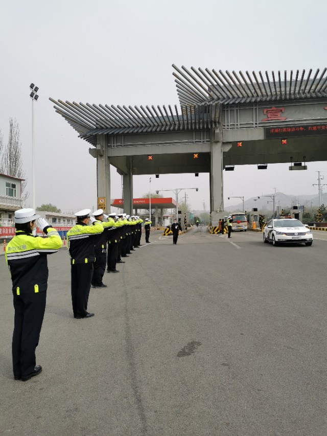 五朵金花百合,张家口市宣化5朵金花
