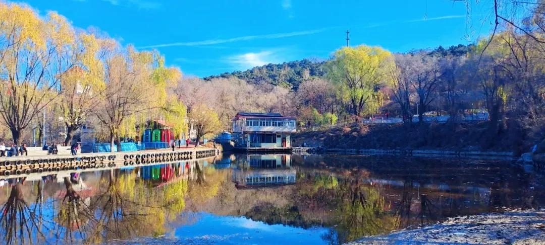 辽宁省本溪市高级中学,本溪市高级中学2021高考成绩