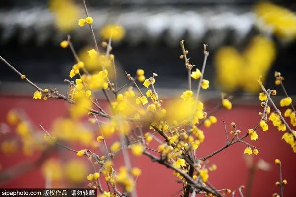 北京生活最不可少的一张卡开办!办理时间就一个月!,附上购买攻略和清单