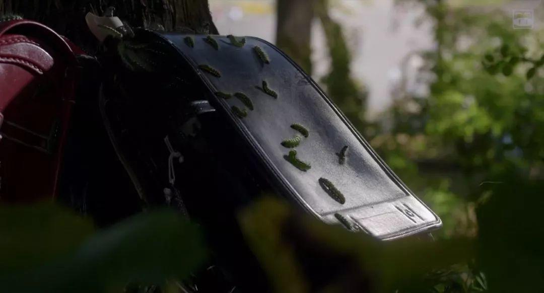 2019最被低估的电影排行榜前十名,10部被低估的恐怖片你看过几部