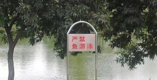 有错别字的文案,有错别字的广告牌或者标语