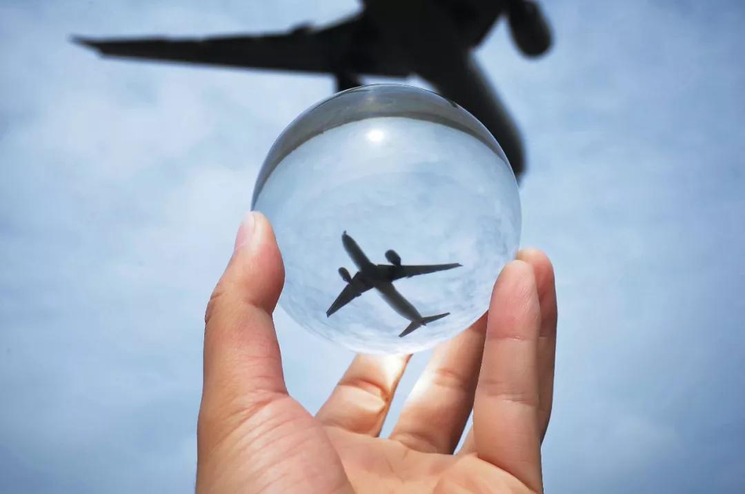 在空港花田里怎么拍照好看,每张都是屏保