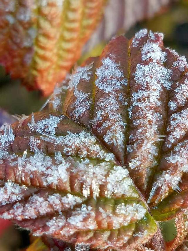 pts展会上海,pt展