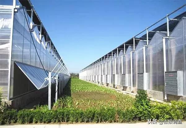 有关如何实现乡村振兴的范文,如何使自己家乡实现乡村振兴目标